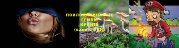 ПСИЛОЦИБИНОВЫЕ ГРИБЫ Балабаново