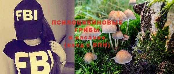 гидропоника Баксан