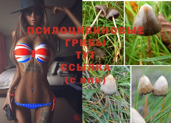 гидропоника Баксан