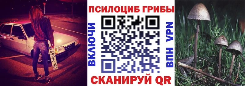 hydra маркетплейс  Красково  Псилоцибиновые грибы мицелий 